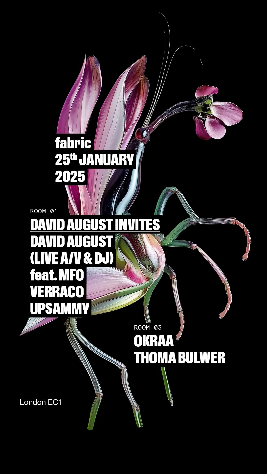 Okraa / La Gran Corriente / 2024-2025