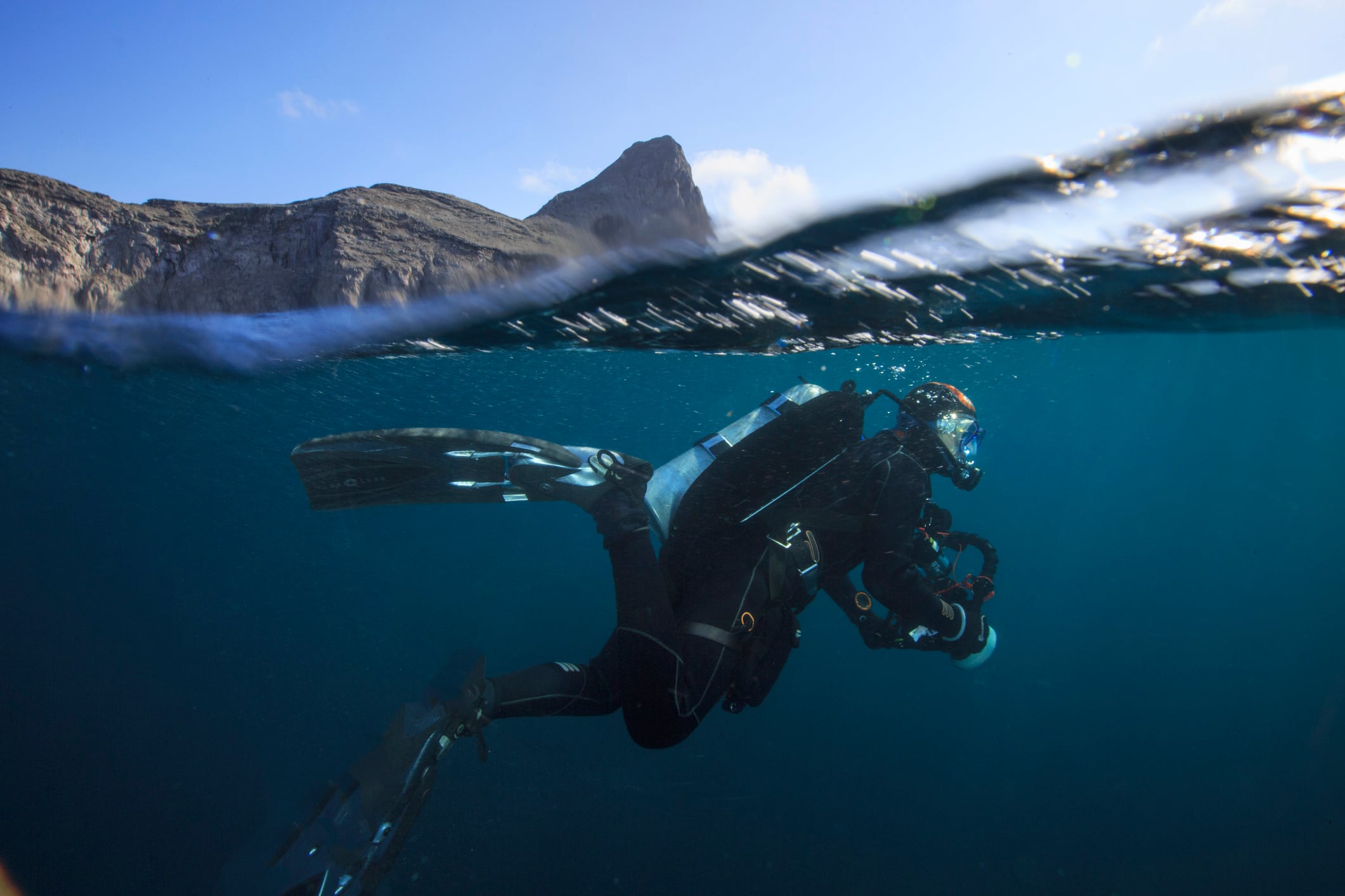 Malpelo