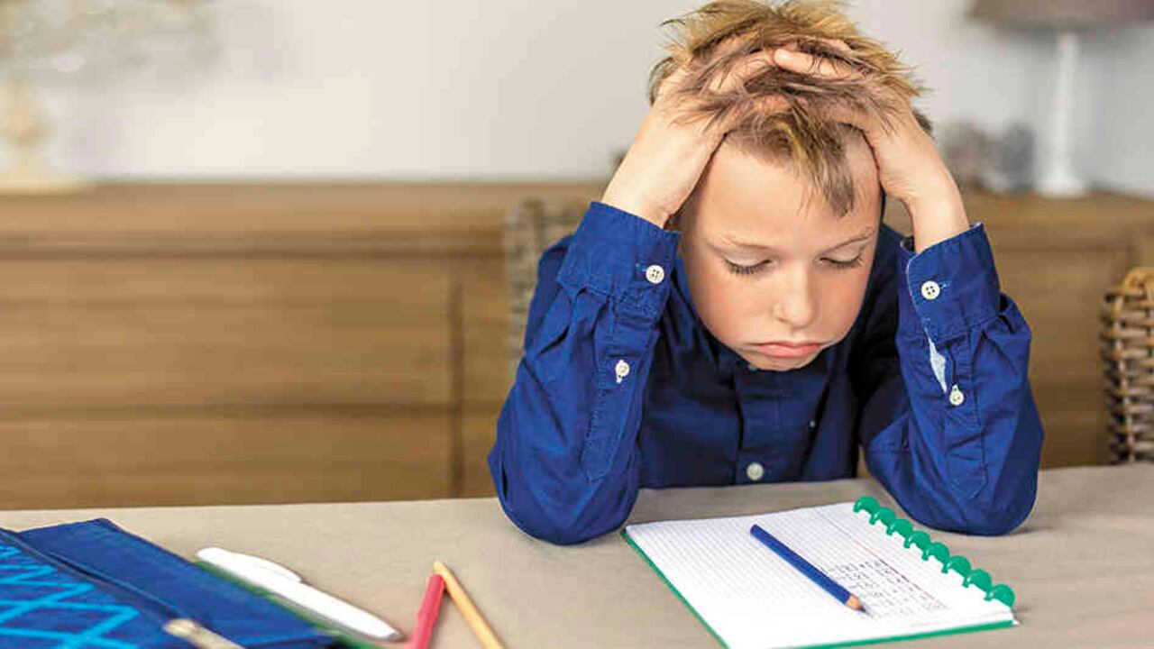 Esos niños tienen más posibilidades de experimentar una disminución del tamaño del hipocampo, que procesa la memoria y laS emociONES