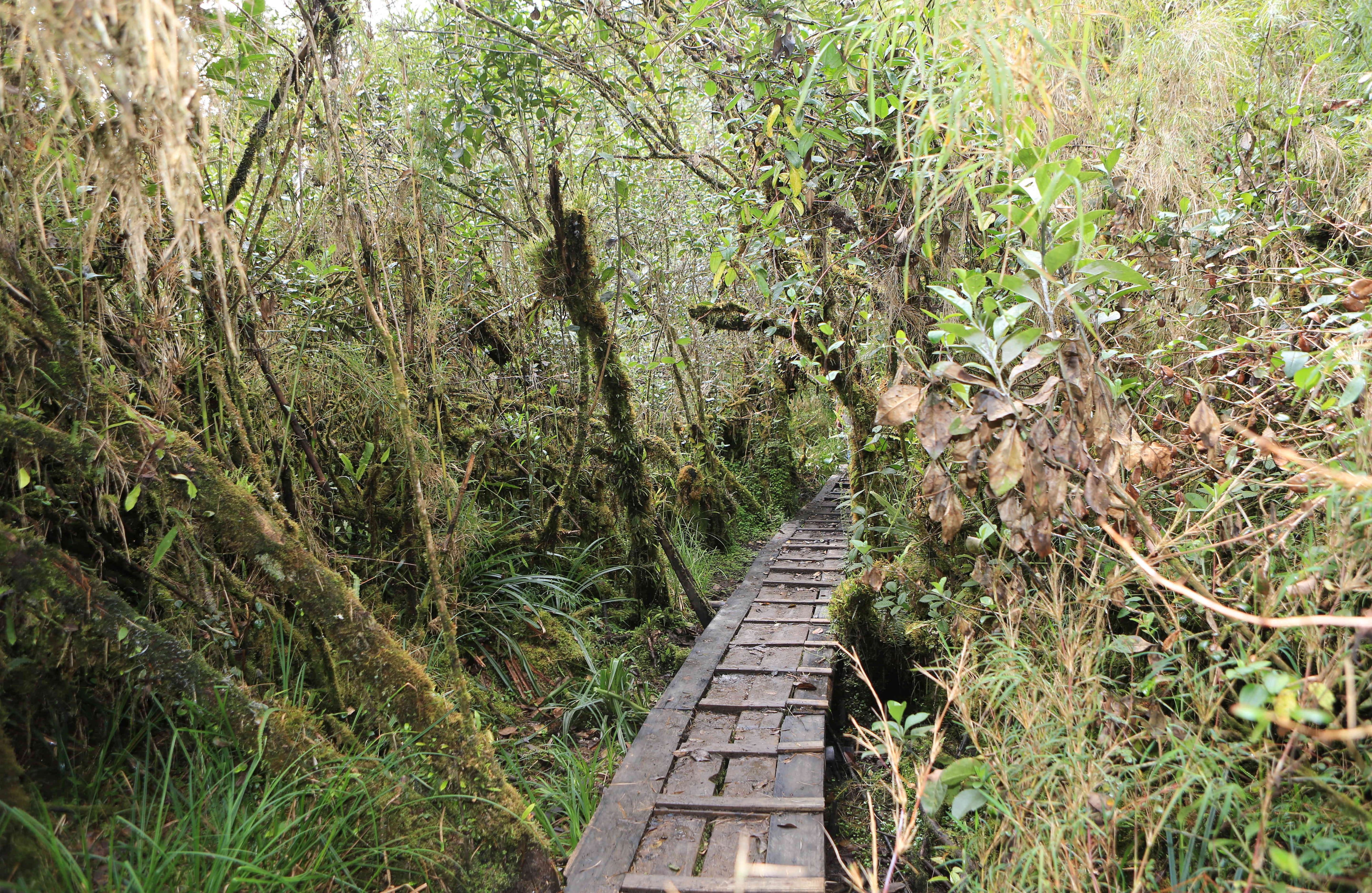 Fotos: Oficina de prensa | Gobernación de Cundinamarca