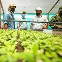 Este megavivero tendrá capacidad para producir 500.000 plántulas al año.