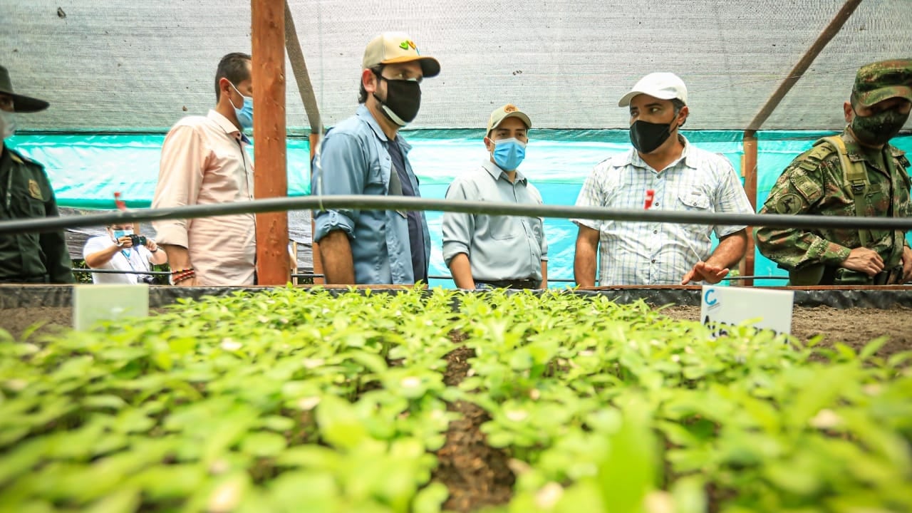Este megavivero tendrá capacidad para producir 500.000 plántulas al año.