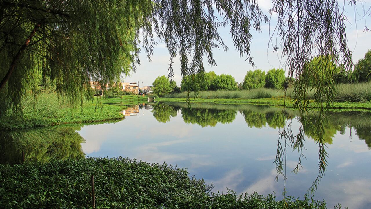 Soacha, municipio de la cuenca baja, planea recuperar varios humedales como parte de sus acciones en favor del río. El humedal La Vaca, en el sur de Bogotá, es un ejemplo de recuperación.