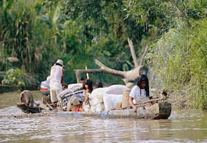 Los embera, se encuentran dispersos en los departamentos de Antioquia, Bolívar, Caldas-resguardo de La Montaña-, Caquetá, Cauca, Chocó, Córdoba, Nariño, Putumayo, Risaralda y Valle del Cauca. Actualmente son cerca de 70 mil personas las que pertenecen a esa etnia.
