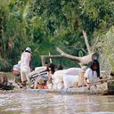 Los embera, se encuentran dispersos en los departamentos de Antioquia, Bolívar, Caldas-resguardo de La Montaña-, Caquetá, Cauca, Chocó, Córdoba, Nariño, Putumayo, Risaralda y Valle del Cauca. Actualmente son cerca de 70 mil personas las que pertenecen a esa etnia.
