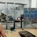 Asalto a la Alcaldía de Medellín este miércoles.