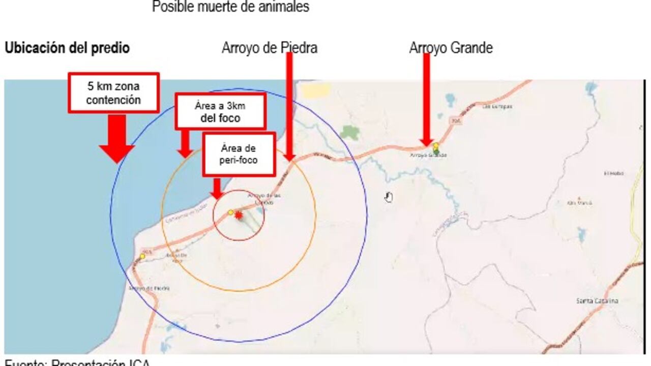Identificación de la zona: gripe aviar en Cartagena