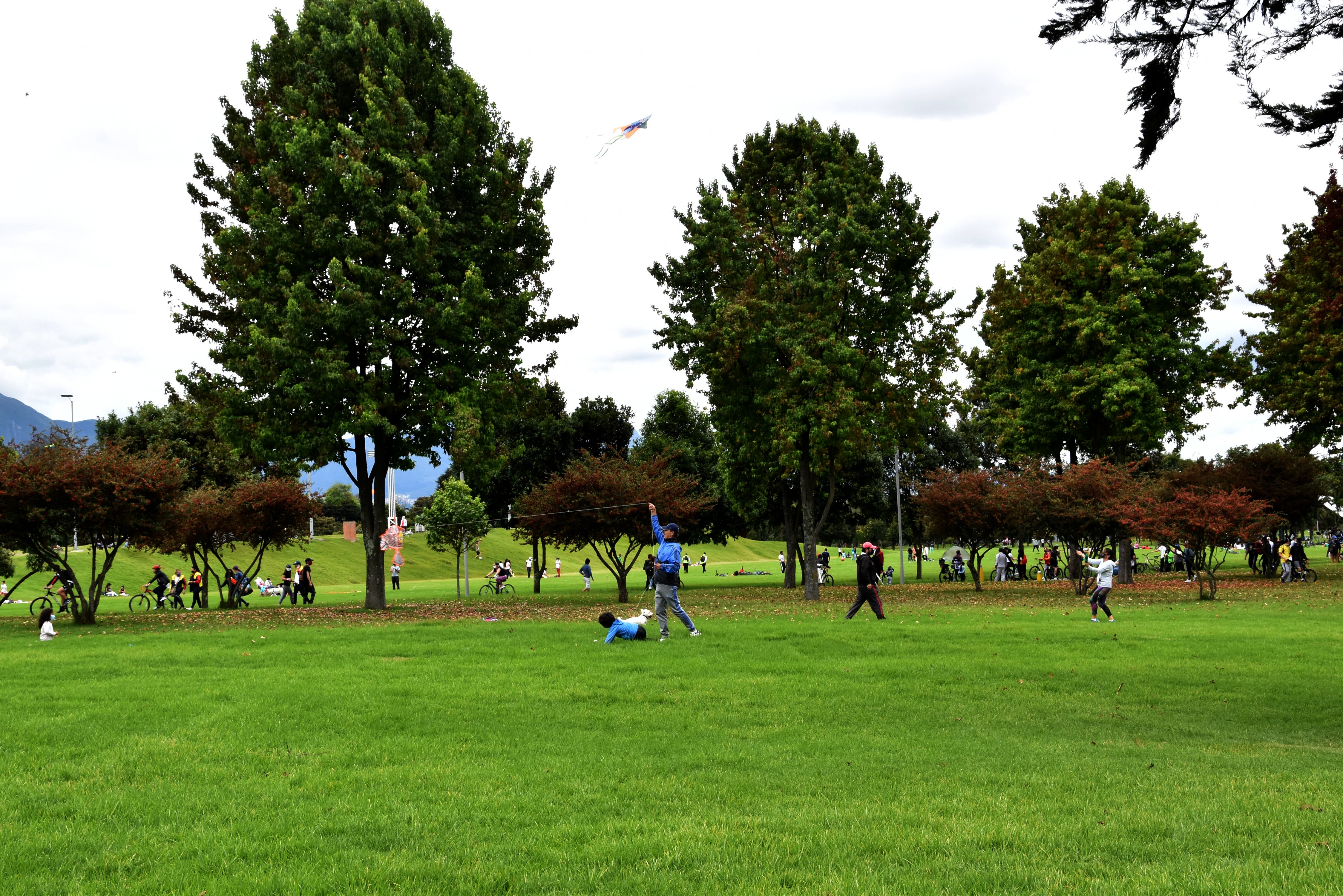 El parque Simón Bolívar transmitirá el partido en cuatro pantallas gigantes.