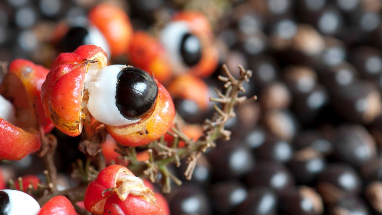 La fruta que reemplaza al café.