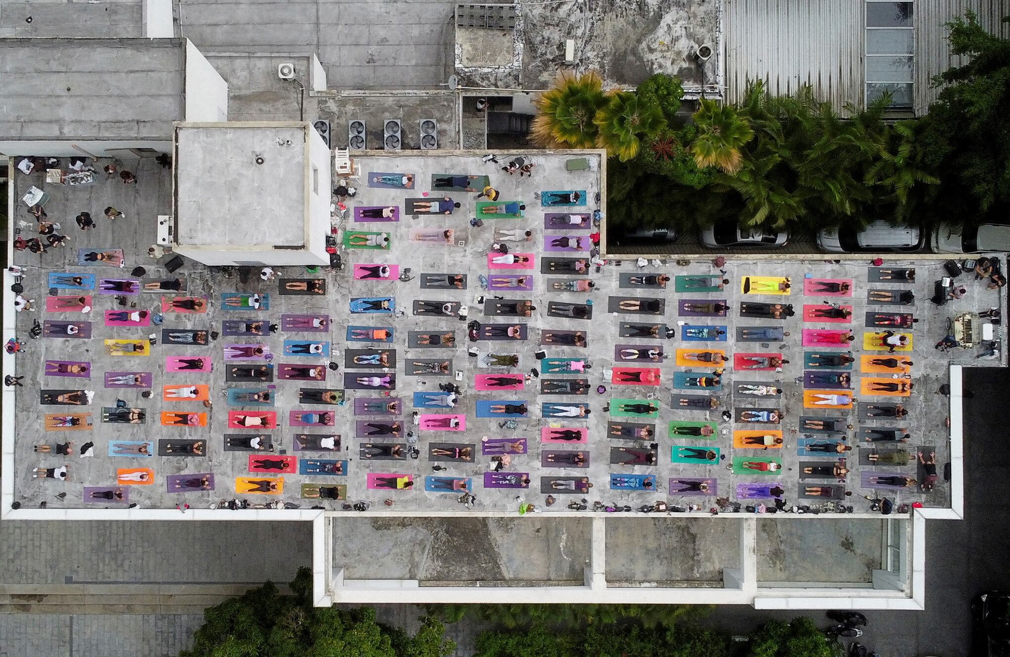 Fotos de la Semana 24 junio