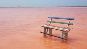Las salinas del corregimiento de Galerazamba (Santa Catalina, Bolívar), localizadas a una hora de camino de Cartagena y otro tanto desde Barranquilla, se han convertido en el destino de moda en el Caribe colombiano por el fascinante tono rosa de las aguas de las charcas de donde se extrae la sal.