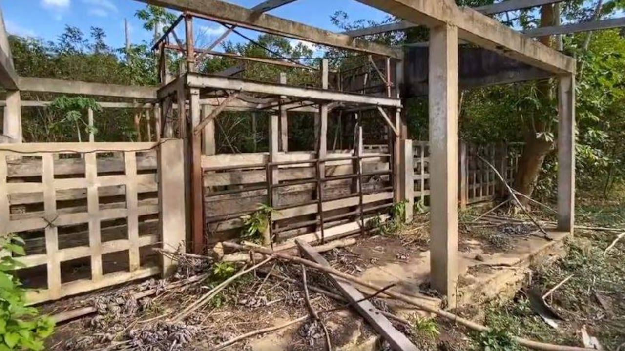 Salud Hernández-Mora se interna en las sábanas del Yarí por las ruinas de las FARC y ‘Gacha’ Foto: SEMANA