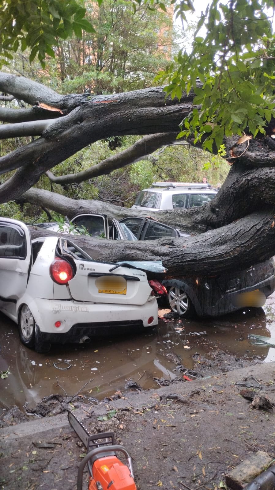 Seis vehículos se vieron afectados