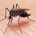 Esto es lo que se conoce del caso.