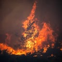 Los incendios forestales queman los bosques cerca de la aldea de Vati, justo al norte de la ciudad costera de Gennadi, en la parte sur de la isla griega de Rodas el 25 de julio de 2023.