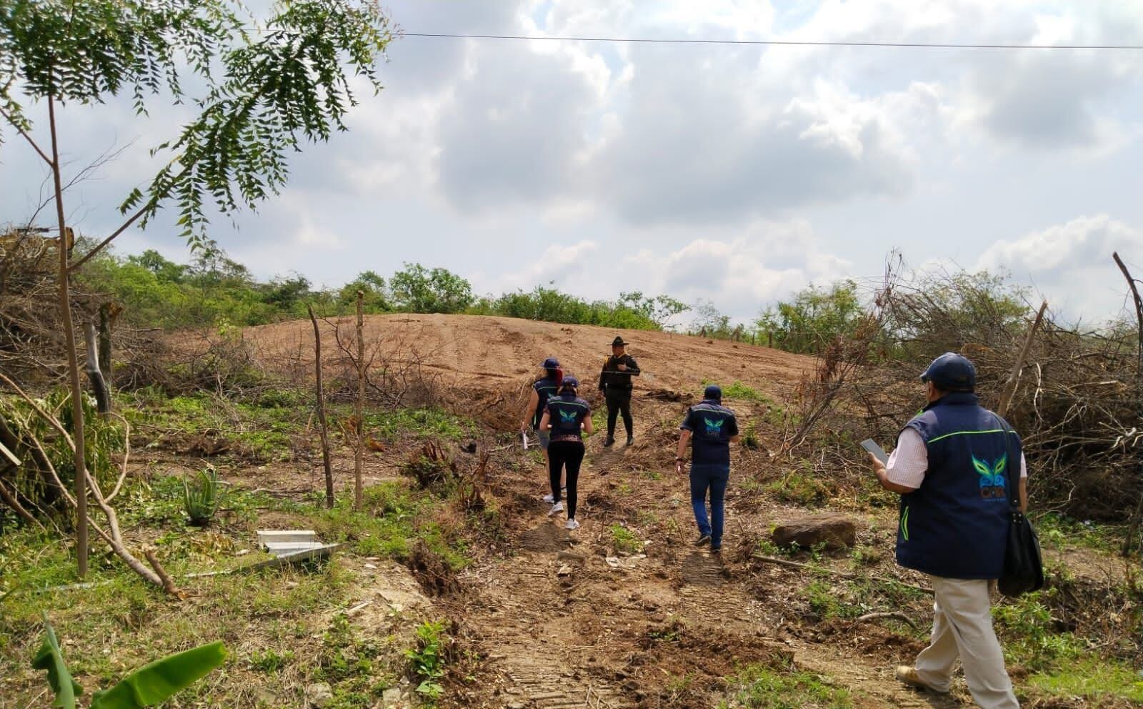 Las actividades tala de árboles se presentaron en el predio denominado Rancho Gran Chaparral, ubicado en la vereda Agua Blanca del municipio de Girardot (Cundinamarca)