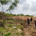 Las actividades tala de árboles se presentaron en el predio denominado Rancho Gran Chaparral, ubicado en la vereda Agua Blanca del municipio de Girardot (Cundinamarca)