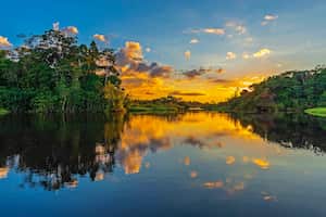 Entre 2000 y 2019, la deforestación en el país arrasó con 2,8 millones de hectáreas de bosques, de acuerdo con el Departamento Nacional de Planeación.