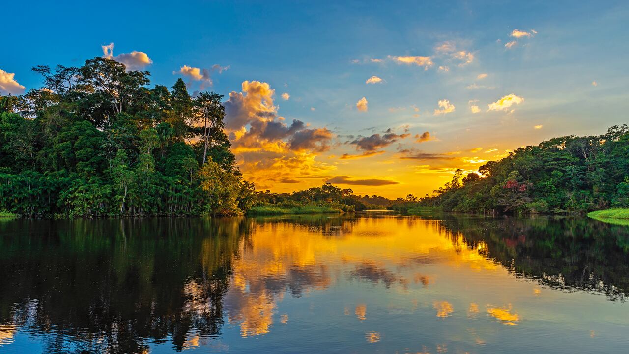 Entre 2000 y 2019, la deforestación en el país arrasó con 2,8 millones de hectáreas de bosques, de acuerdo con el Departamento Nacional de Planeación.