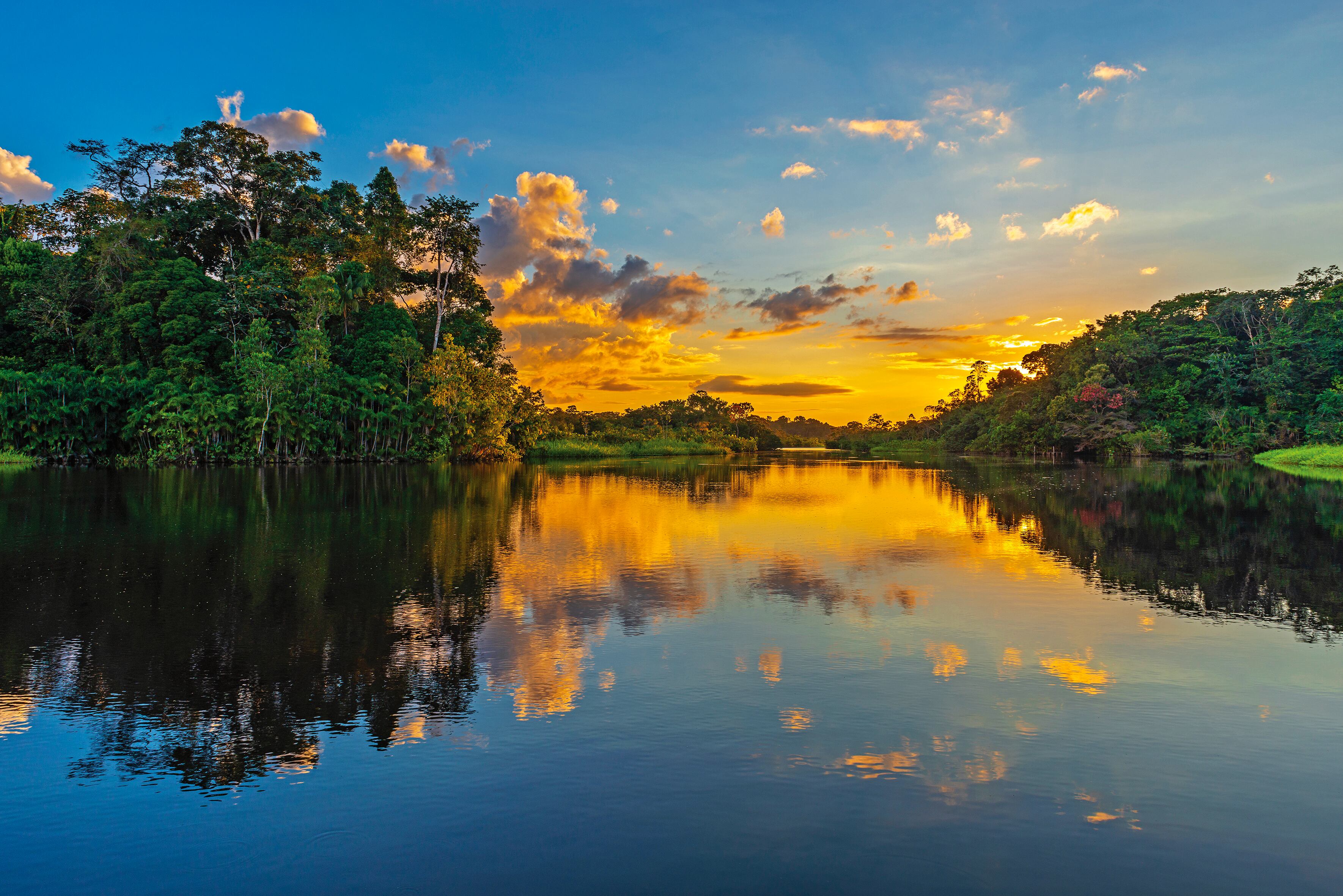 Entre 2000 y 2019, la deforestación en el país arrasó con 2,8 millones de hectáreas de bosques, de acuerdo con el Departamento Nacional de Planeación.