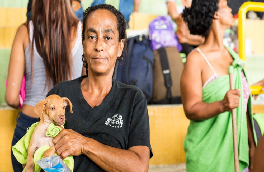 Foto: David Estrada Larrañeta