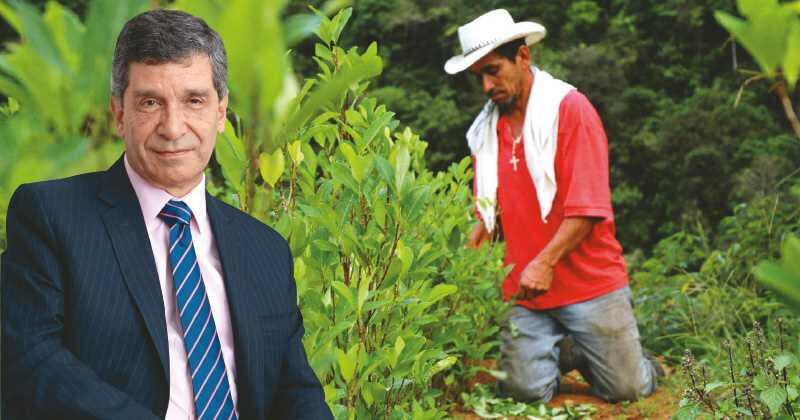 Rafael Pardo fue ministro del posconflicto en el gobierno de Juan Manuel Santos. 