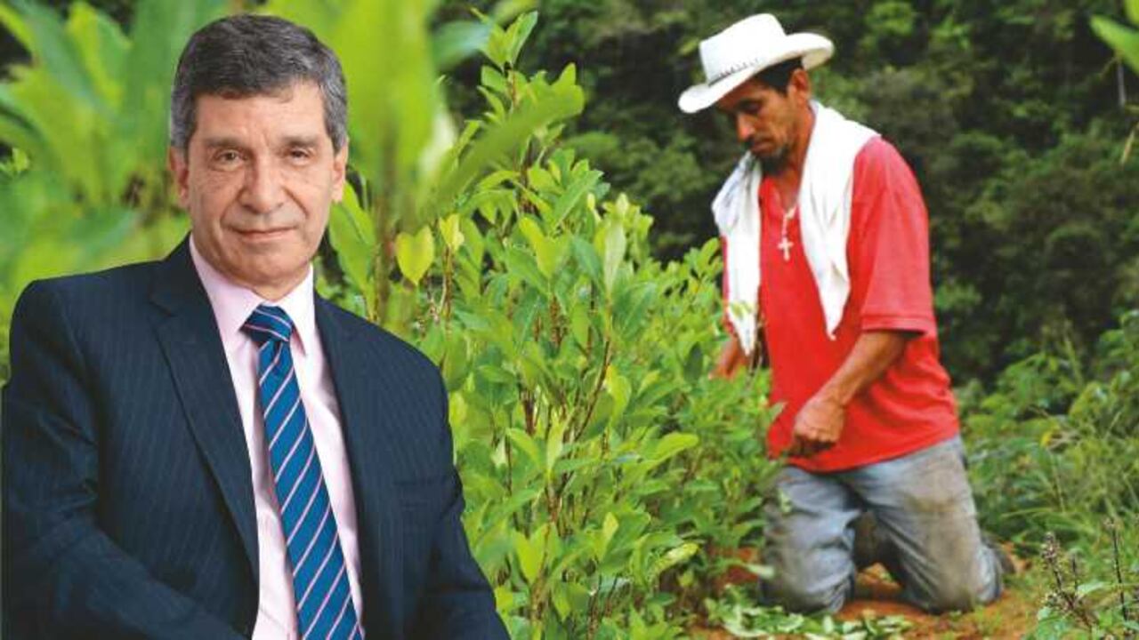 Uno de los principales mecanismos para poner en marcha los acuerdos serán los Programas de Desarrollo con Enfoque Territorial, en 15 subregiones afectadas por el conflicto armado y los cultivos de coca.