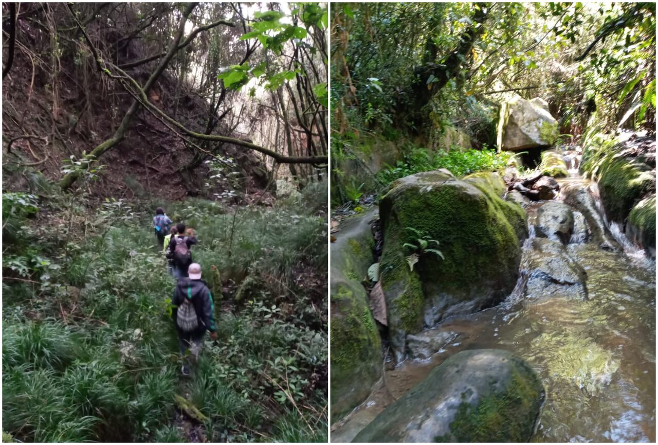 El recorrido también hará una actividad pedagógica para crear conciencia frente al cuidado de estos ecosistemas.
