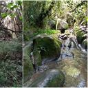 El recorrido también hará una actividad pedagógica para crear conciencia frente al cuidado de estos ecosistemas.