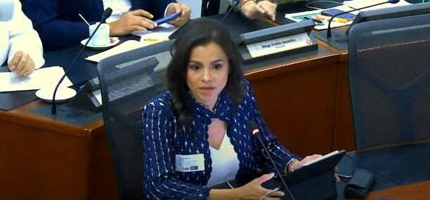 Naturgás, Luz Stela Murgas, presidenta del gremio, durante el debate de control político a Ecopetrol y MinMinas.