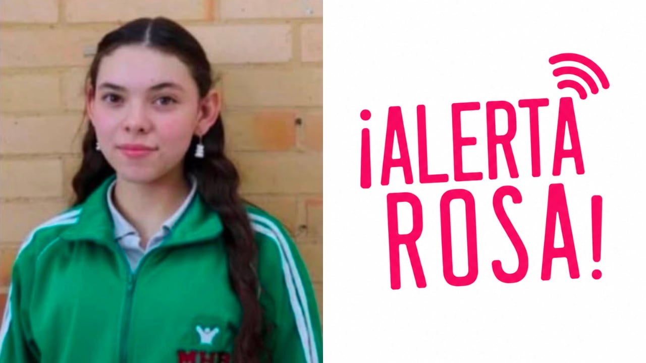 Ana Valentina Arana García, joven reportada como desaparecida.
