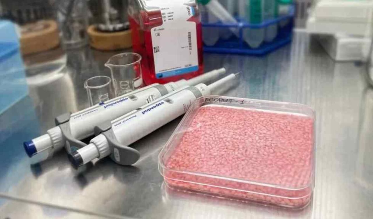 Científicos coreanos trabajan en un arroz rosado creado en laboratorio que tiene carne sintética en su composión