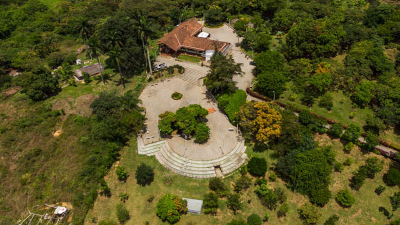 La acacia japonesa, el pomarroso y el ciruelo son solo algunas de las 32 especies de árboles que se hallan en este lugar.