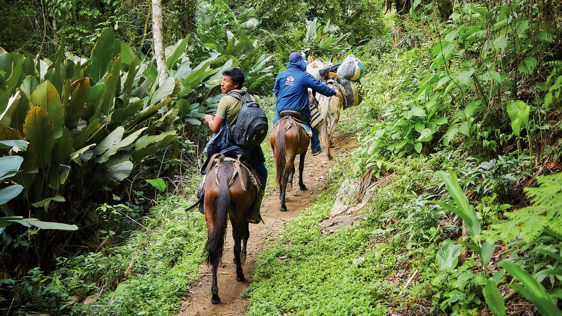 NO USAR, USO EXCLUSIVO MEJOR COLOMBIA, Especial Mejor Colombia, Defensoría del Pueblo
