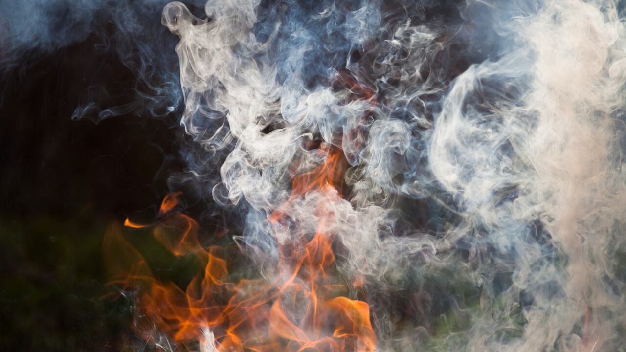 ¿Cómo prevenir la sobrecarga y proteger tus electrodomésticos?