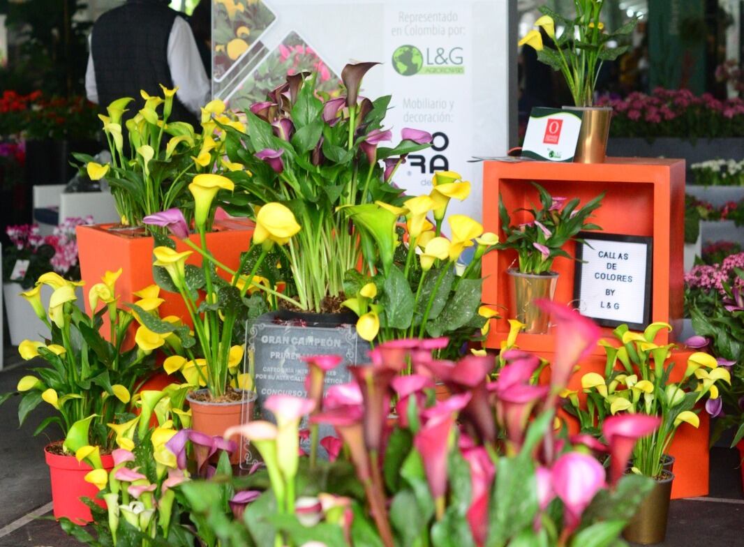 Asociación Colombiana de Viveristas y de Productores de Ornamentales (Colviveros).