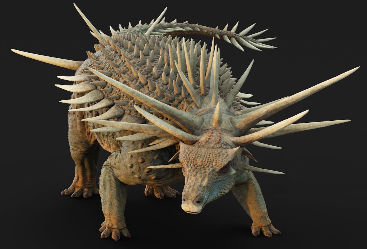 El hallazgo de fósiles en Marruecos reveló al anquilosaurio más extraño conocido.