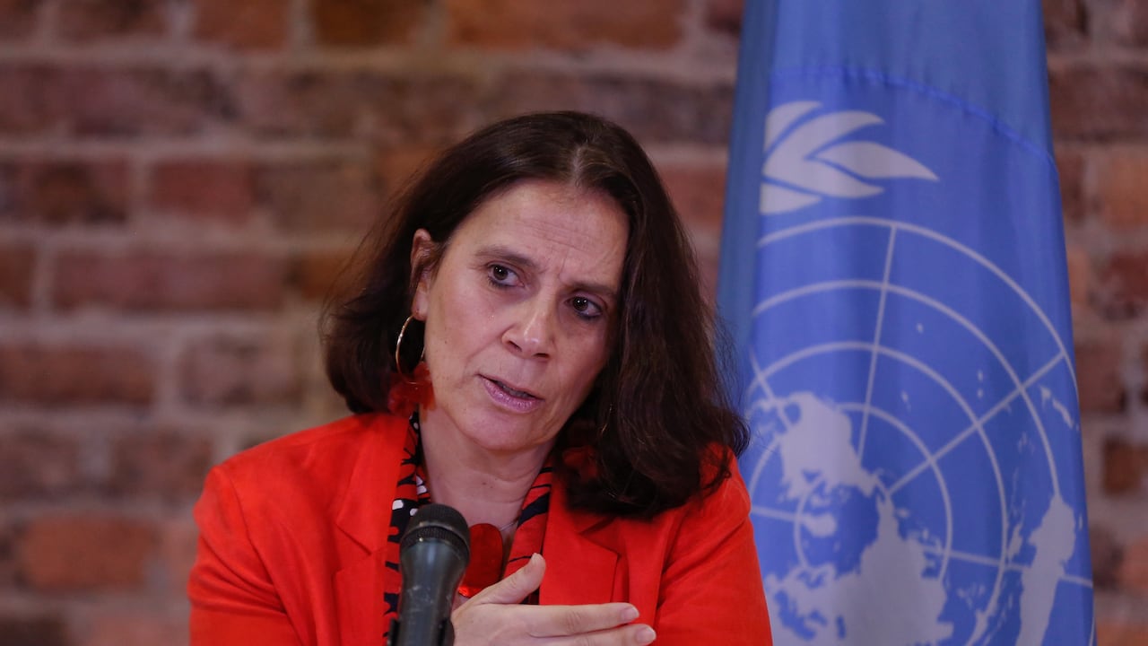 Antonia Urrejola, experta internacional de la ONU.