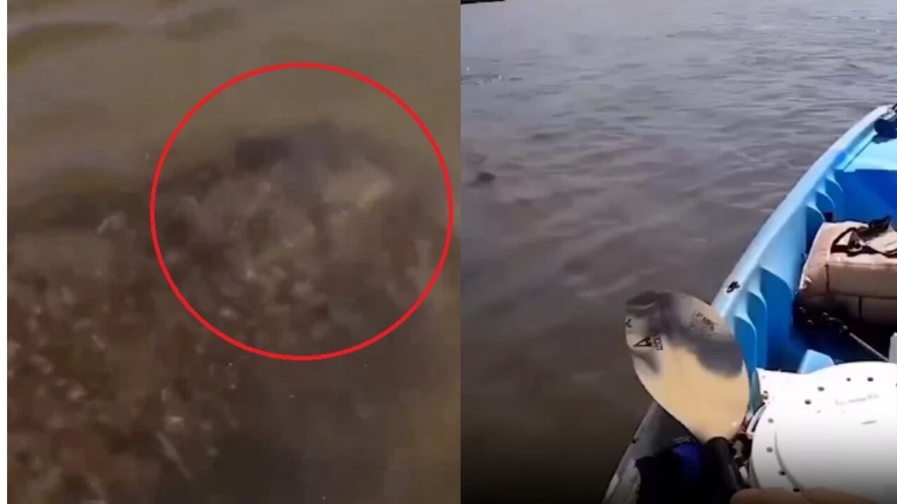 Hombre vivió momentos de pánico en el río Amazonas; fue atacado por extraña criatura