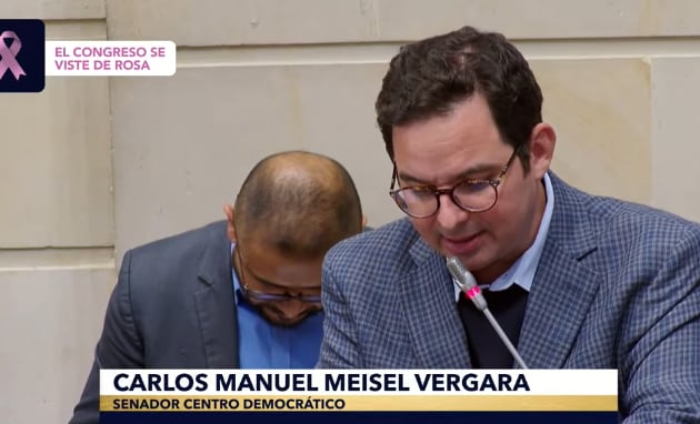 Carlos Meisel, senador, coordinador ponente del proyecto de Presupuesto 2027, en el debate en plenaria del Senado.