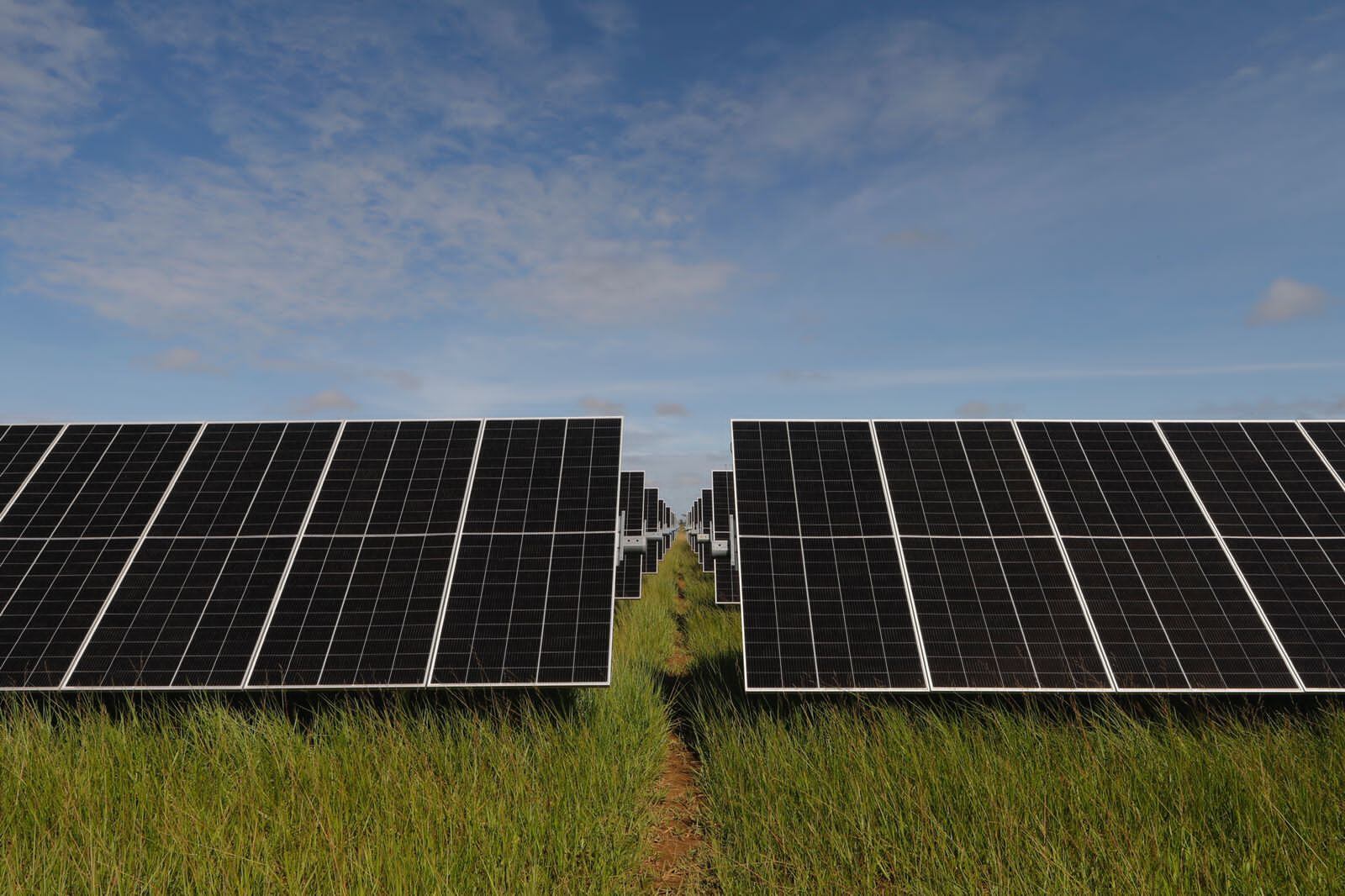 Como parte de su plan de expansión en Fuentes No Convencionales de Energía Renovable (FNCER), la generadora adquirió en 2021 las etapas 4 y 5 de los Bosques Solares de los Llanos (BSL) ―desarrolladas por Trina Solar en el Meta―.