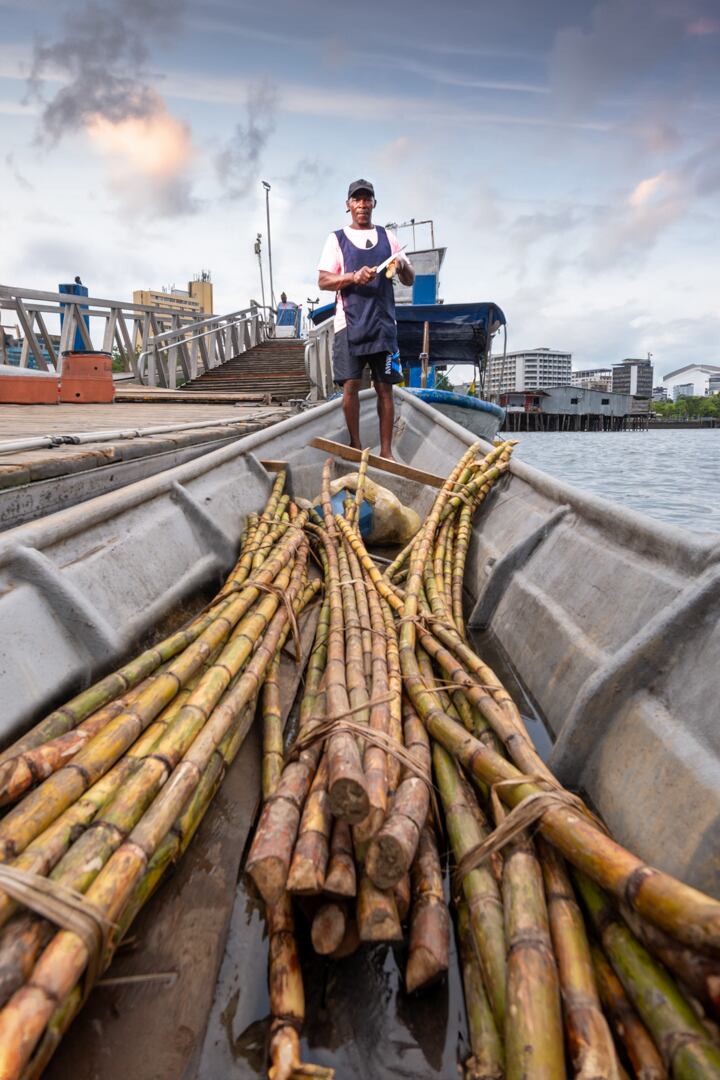 Especial Cali y Valle del Cauca, Editorial Sectores Productivos