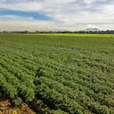 Se debe definir y garantizar el debido proceso en la adquisición de las tierras rurales, que respete los derechos de propiedad de terceros no campesinos.