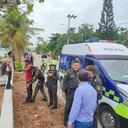 En algunos videos en los que se observa una persona arrojando un perro muerto al mar para alimentar tiburones.