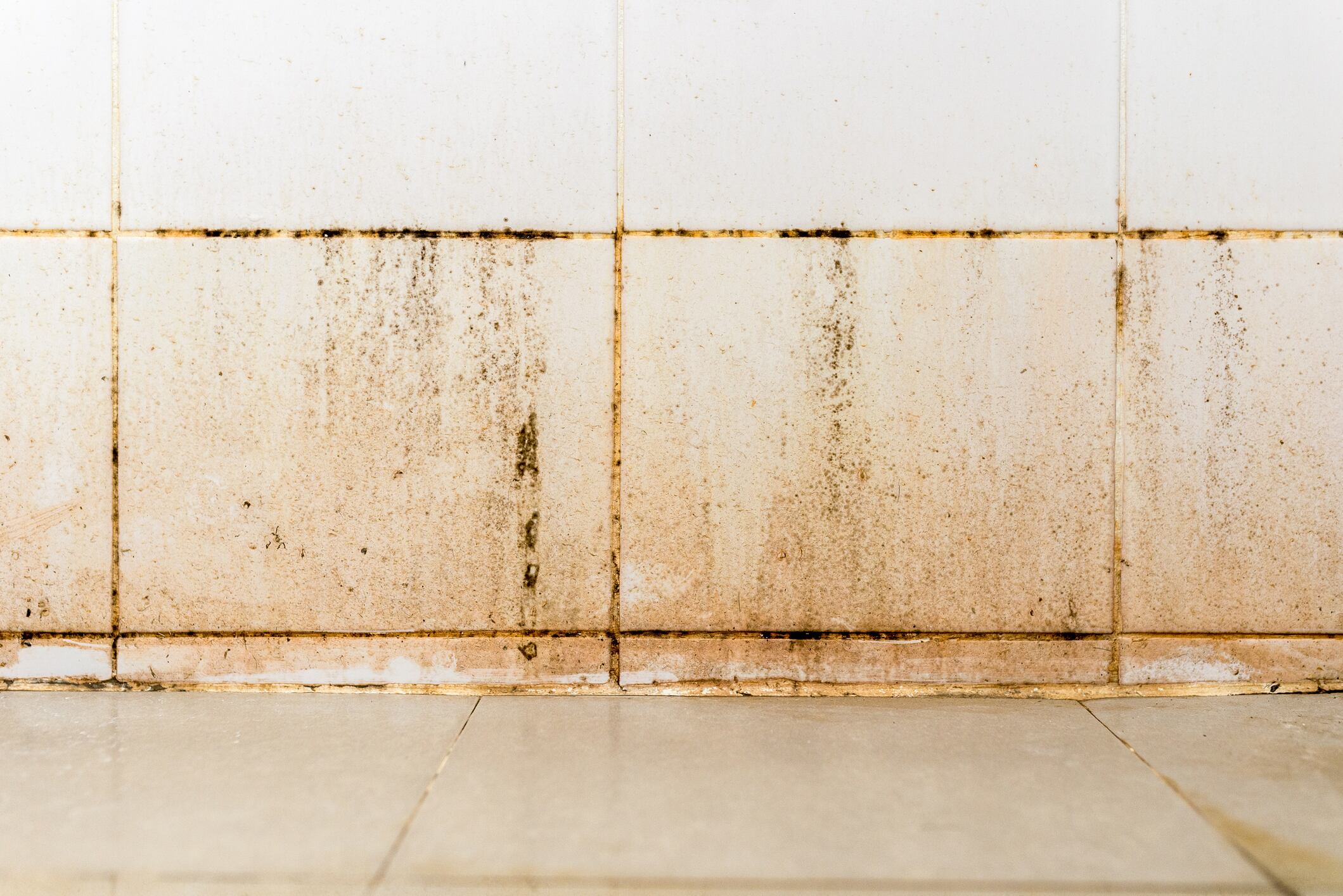 La limpieza regular de los orificios de la ducha puede prevenir problemas de presión de agua; aquí se presentan consejos prácticos para eliminar el moho y el óxido pegado.