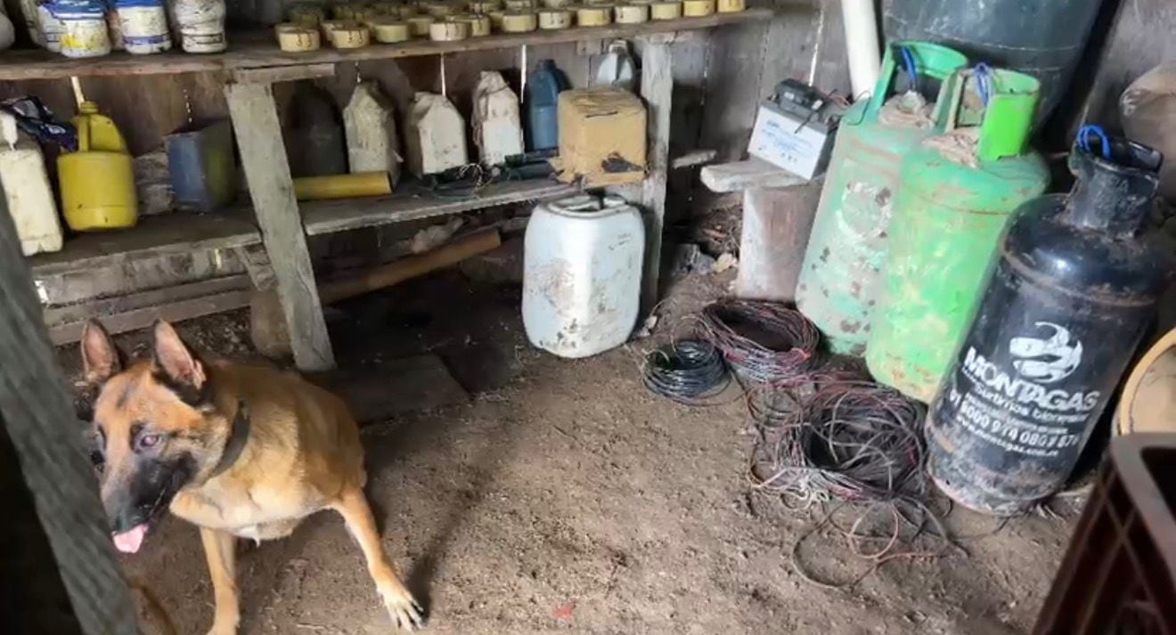 Explosivos encontrados por el Ejército.