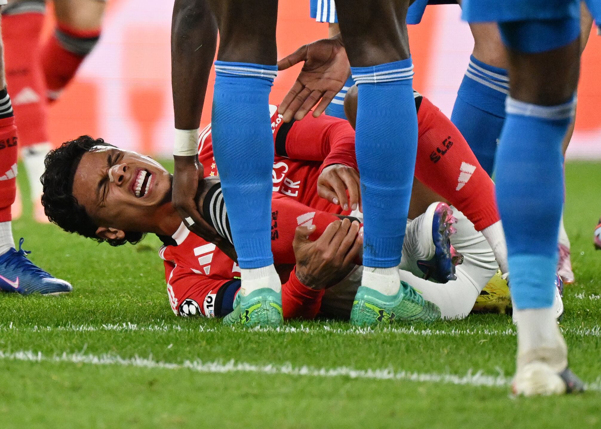 LISBON, PORTUGAL - FEBRUARY 17: Benfica player Richard Rios reacts during the UEFA Champions League match between SL Benfica and Real Madrid at Estadio da Luz in Lisbon, Portugal, on February 17, 2026. (Photo by Zed Jameson/Anadolu via Getty Images)