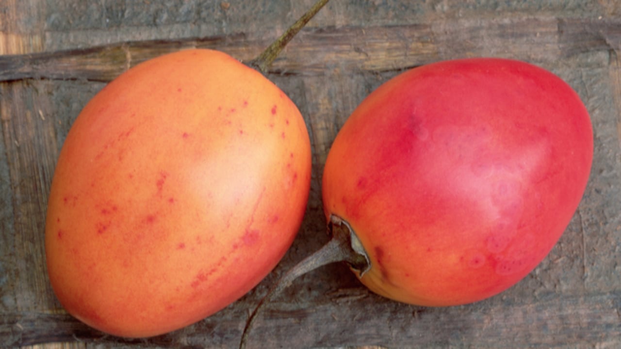 Consumir jugo de tomate es una buena receta para ganar nutrientes para lo que resta del día, pero se debe consumir con moderación