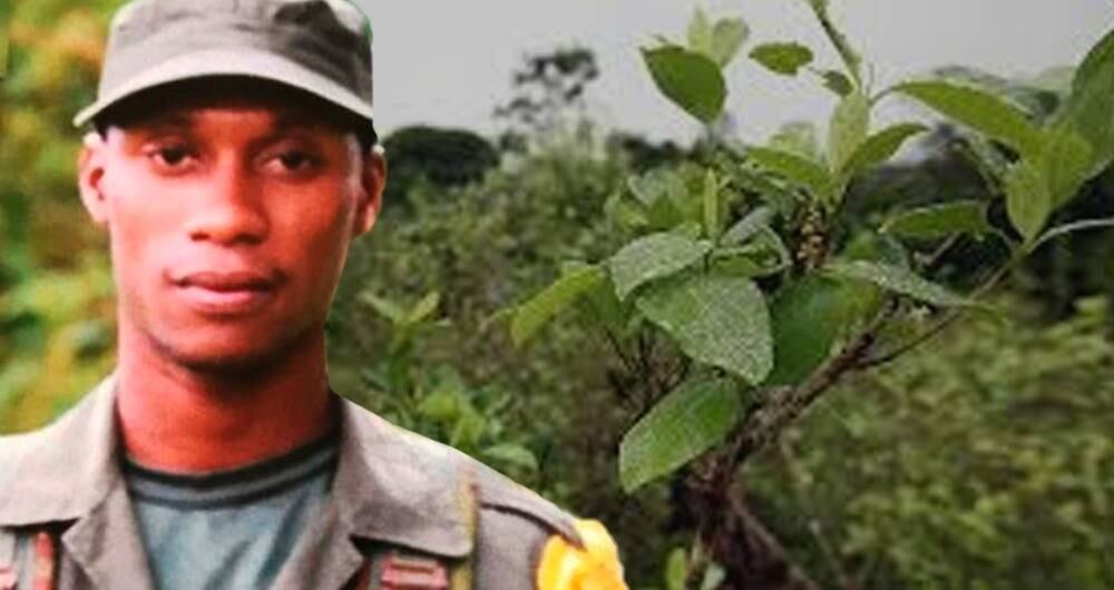 Matamba fue quien sucedió a alias Guacho al frente de grupos residuales en el departamento de Nariño denominados “Bloque Oliver Sinisterra”, esto tras la baja de su líder en un operativo de la Fuerza Pública en diciembre de 2018.