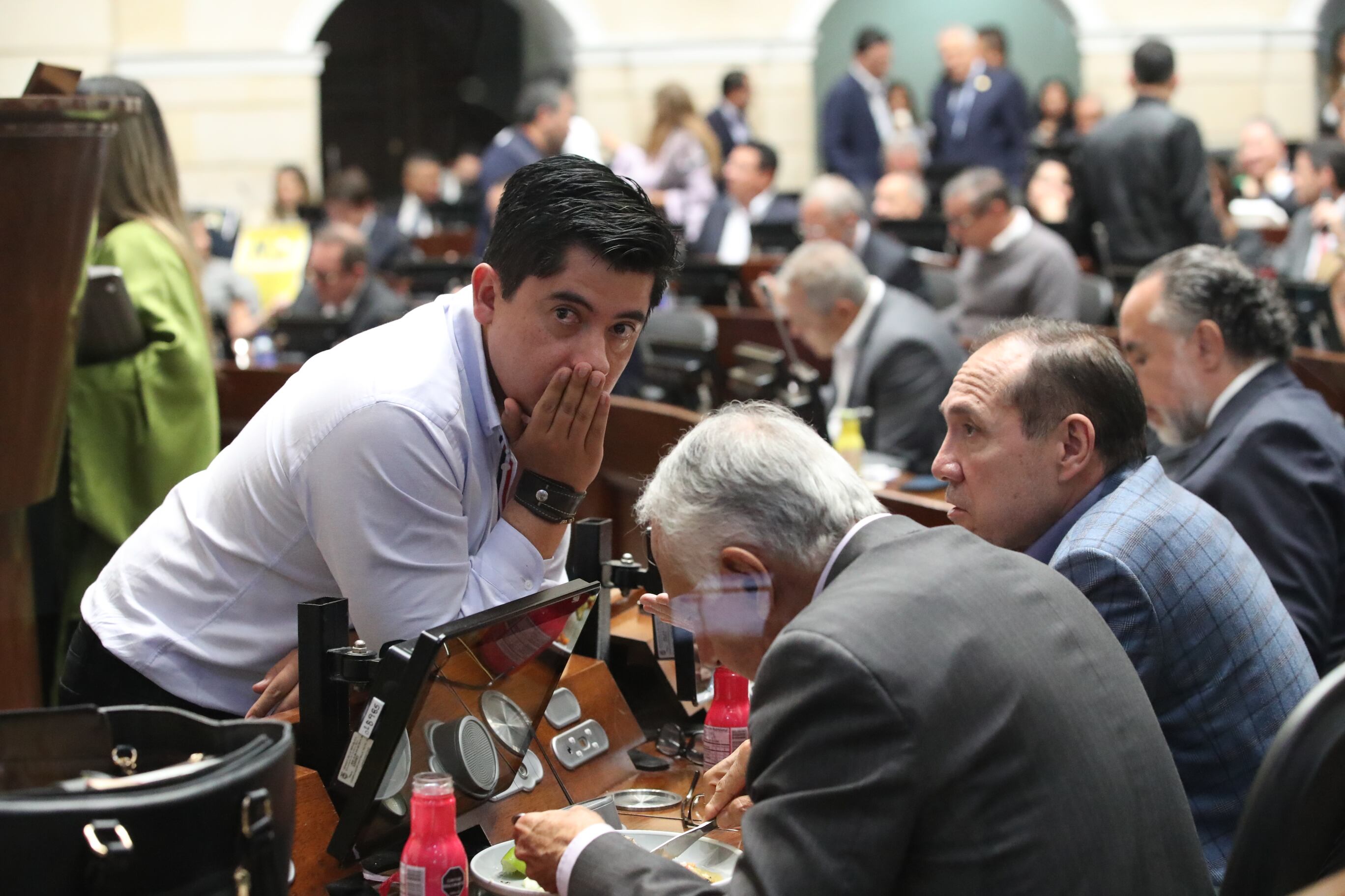 Plenaria Senado, consulta popular